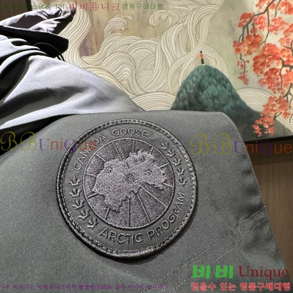 ���� ĳ���ٱ��� �ٿ� �е� 67GC2163852