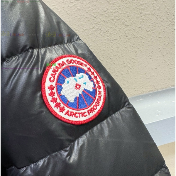 ���� ĳ���ٱ��� �ٿ� �е� 67GC2163853