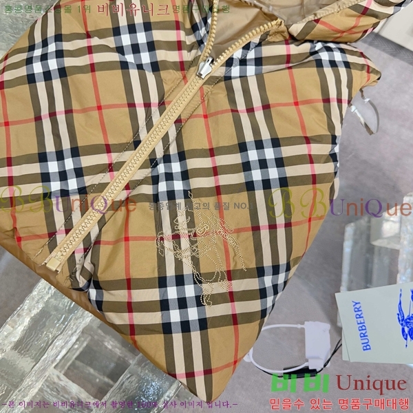 Ű�� ������ �淮 �е� ���� BU3156279