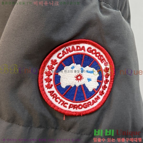 ���� ĳ���ٱ��� �ٿ� �е� CAG157496-2