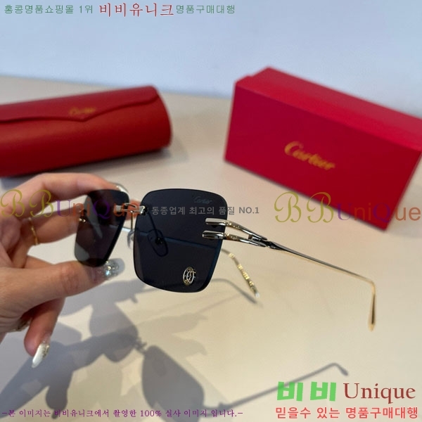 �*�� ���۶� CA497445-1