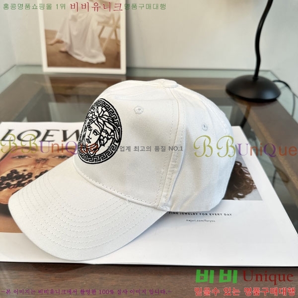 ����*ü ���� V86421-2