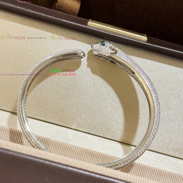 �������� ��쿡 ���� CA33603-1