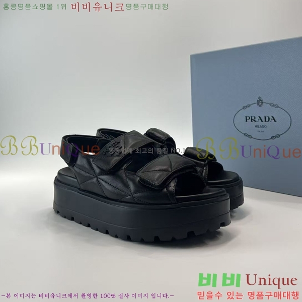 ���� ����� ���� 31P255244-1