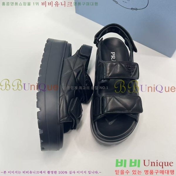 ���� ����� ���� 31P255244-1