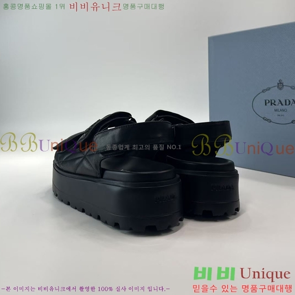 ���� ����� ���� 31P255244-1