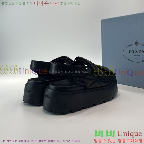 ���� ����� ���� 31P255244-1