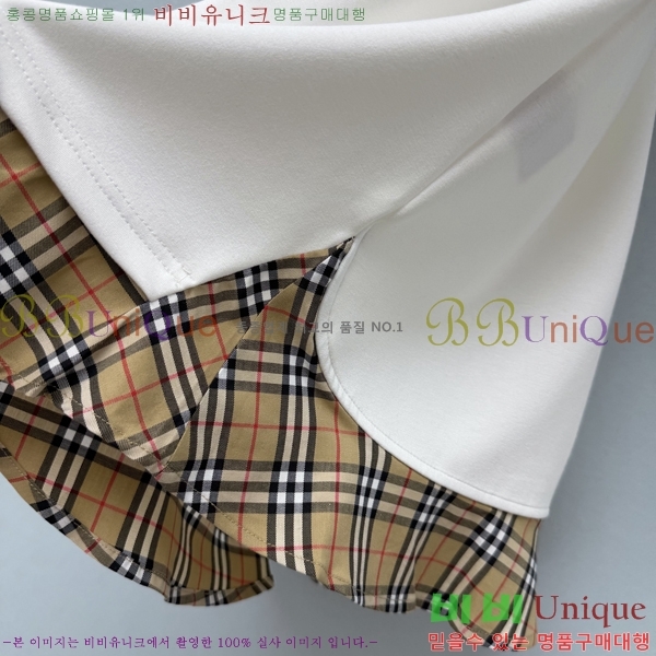 ���� ������ ���ǽ� BU256084-4