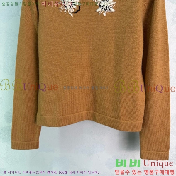 ���� ��* ������ CHA0525-1